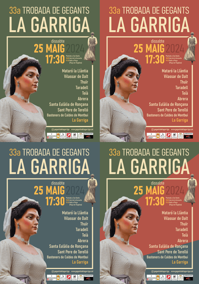 Cartells de la trobada de 2024